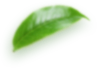 Thai element